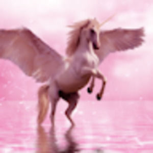 Meet your Posher, Alissa